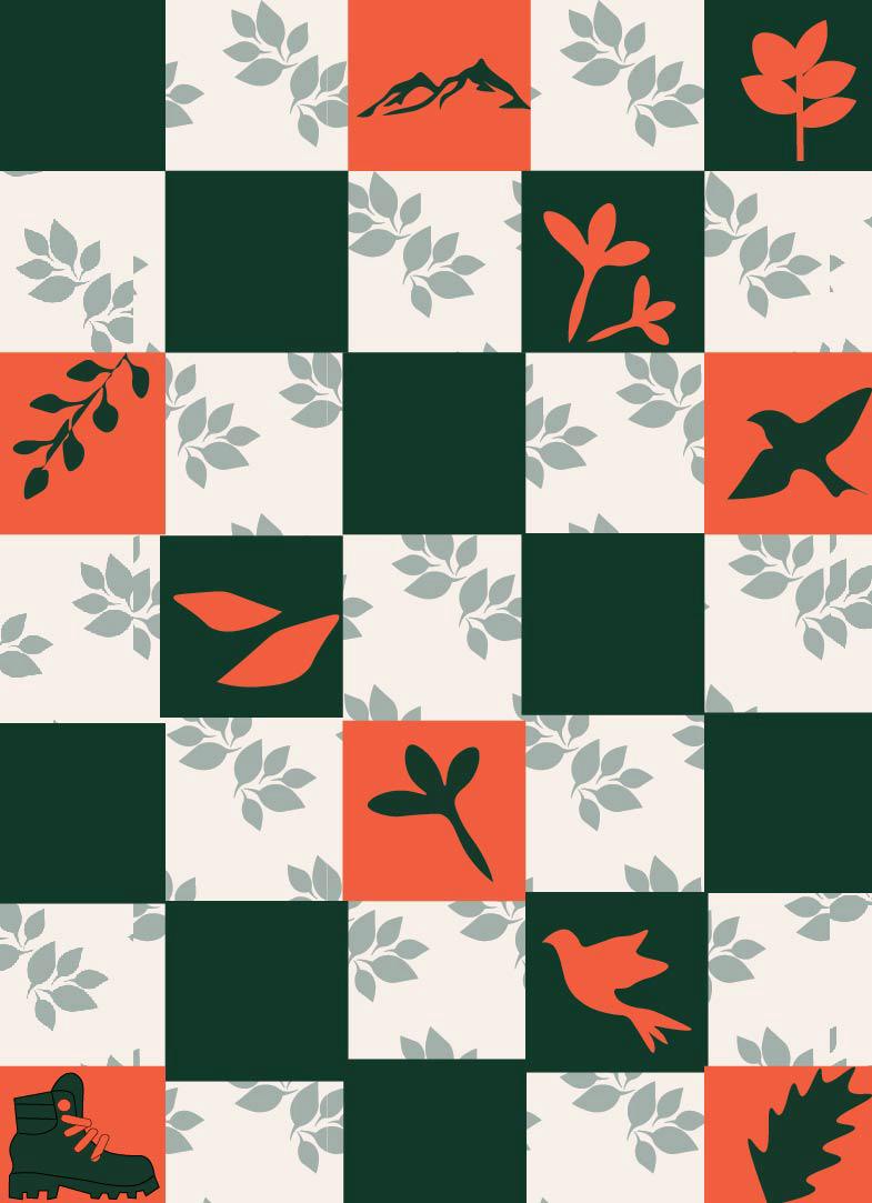 Nature's Grid poster — checkered grid layout with stylized mountains, leaves, birds and a hiking boot