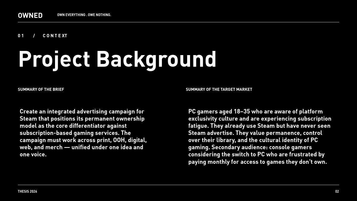 OWNED Steam campaign — project background: brief and target market summary